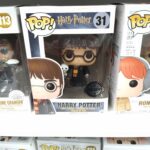 Harry Potter 31